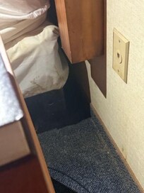 Blood? on box spring and wall