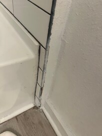 Mildew was on this part of the restroom tub
