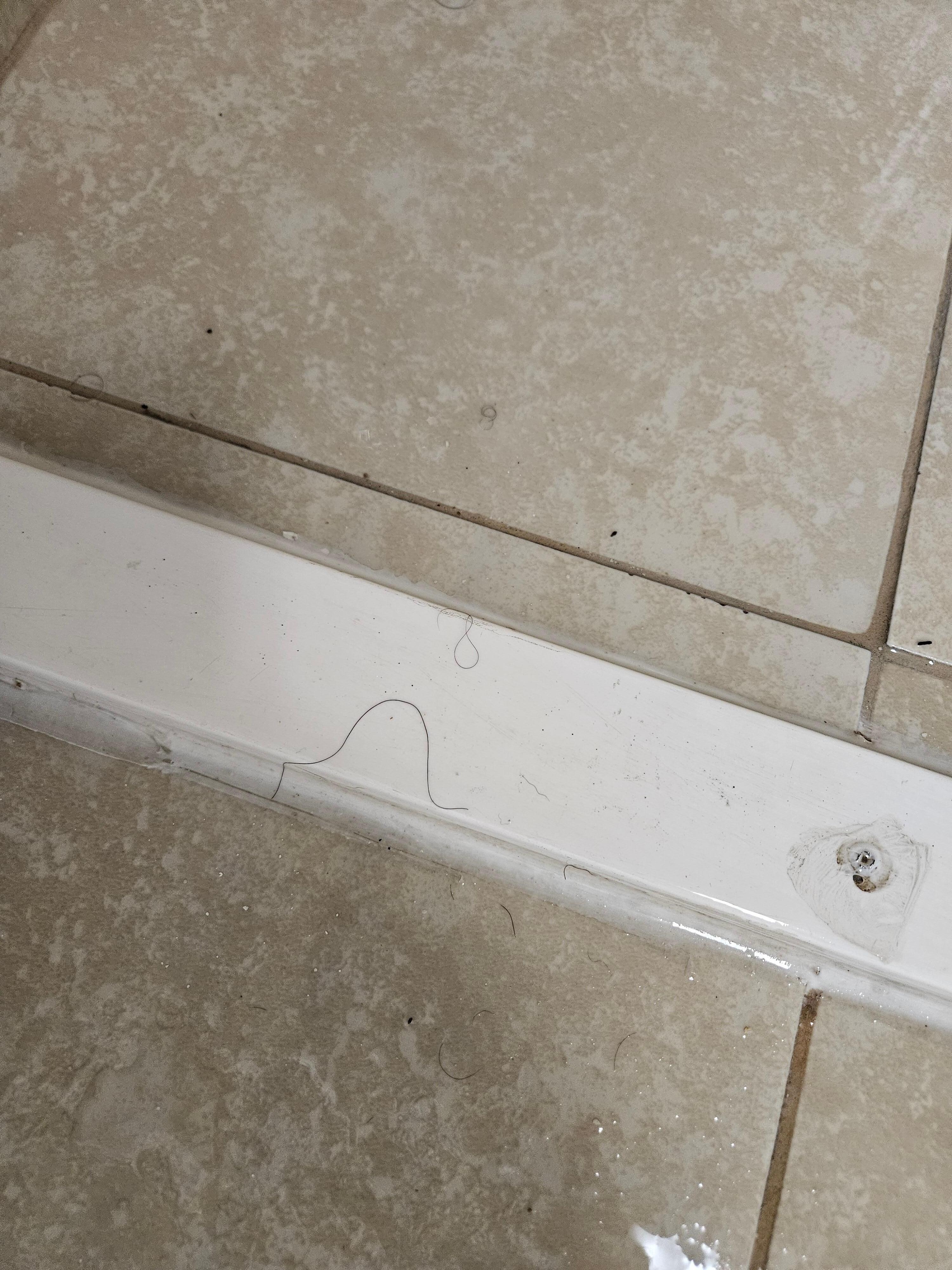 Hair in shower from previous guest, water would go all over the floor when we showered