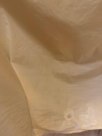 Moldy shower curtain.