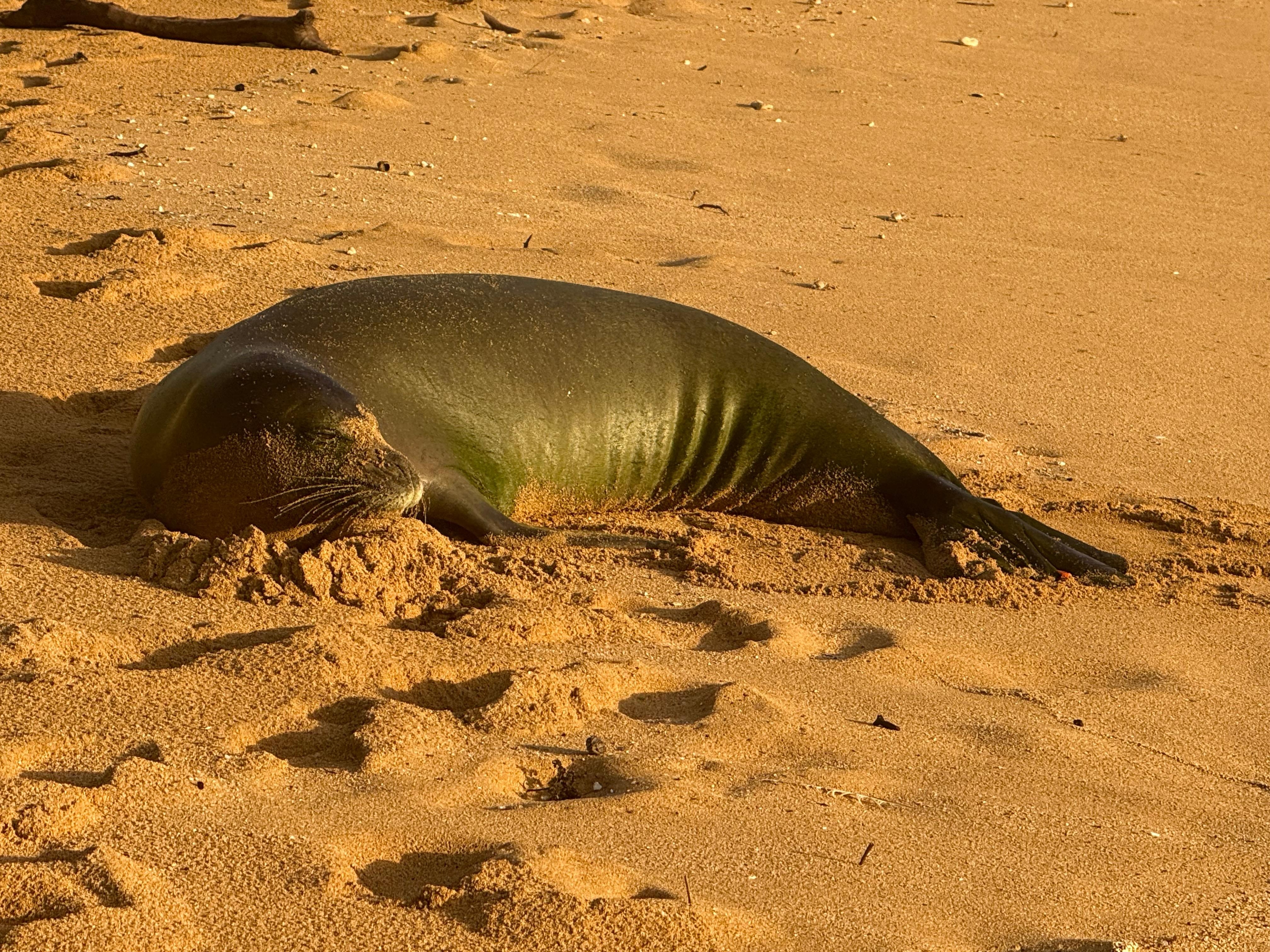 Right on “our” beach!