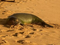 Right on “our” beach!