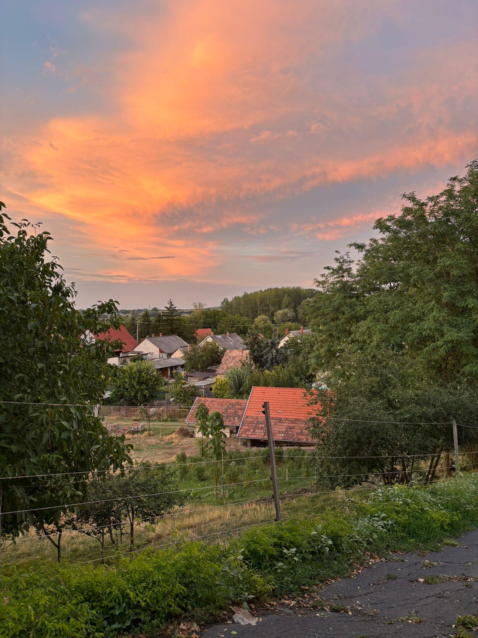 Ausblick von der Terrasse 