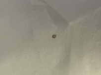 Burn hole on sheets ie non smoking room