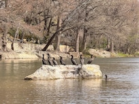 Birds relaxing on the dam.