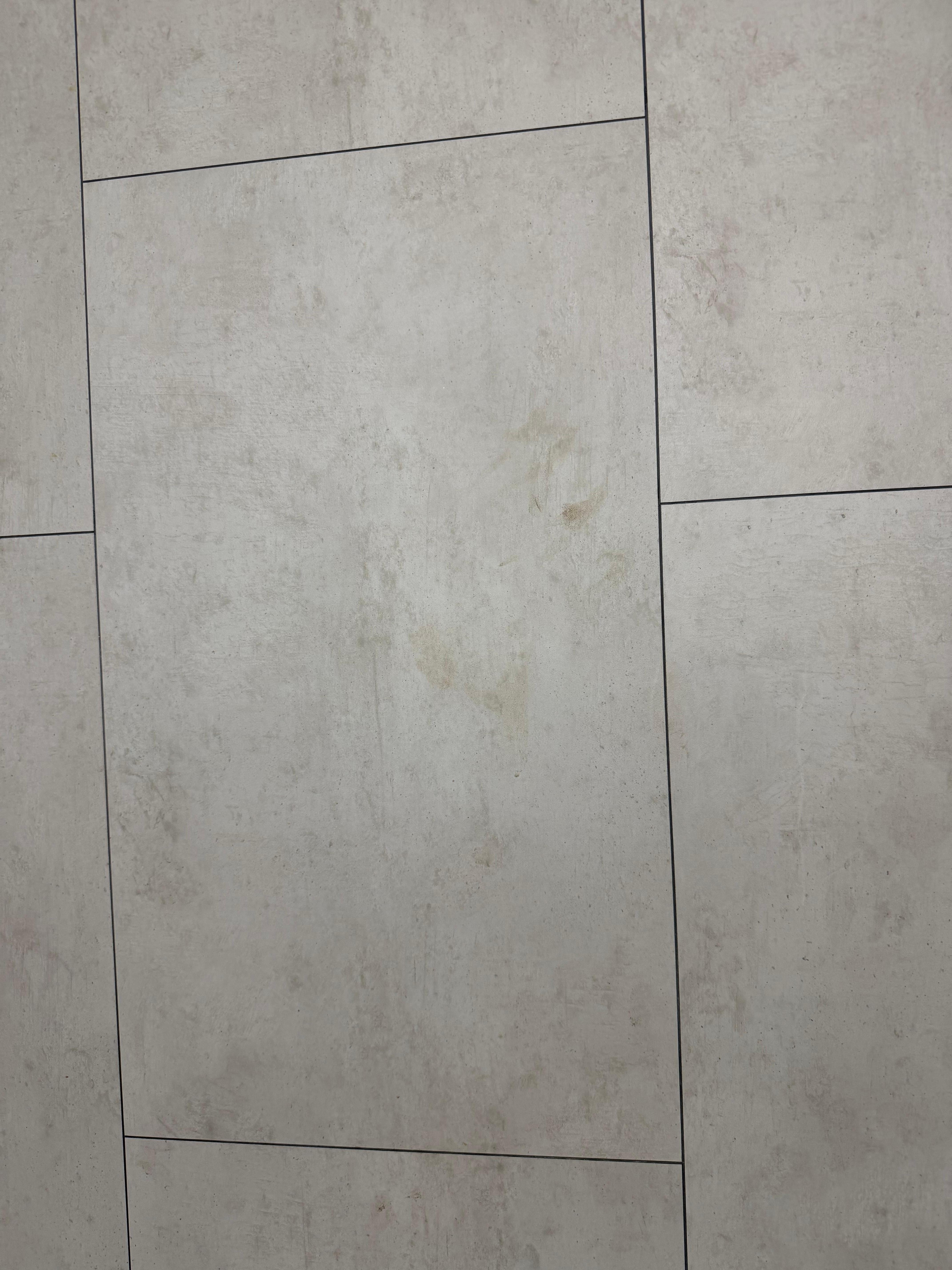 The shower had not been cleaned. The tub was filling with water as we tried to shower.