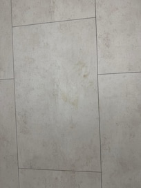The shower had not been cleaned. The tub was filling with water as we tried to shower.
