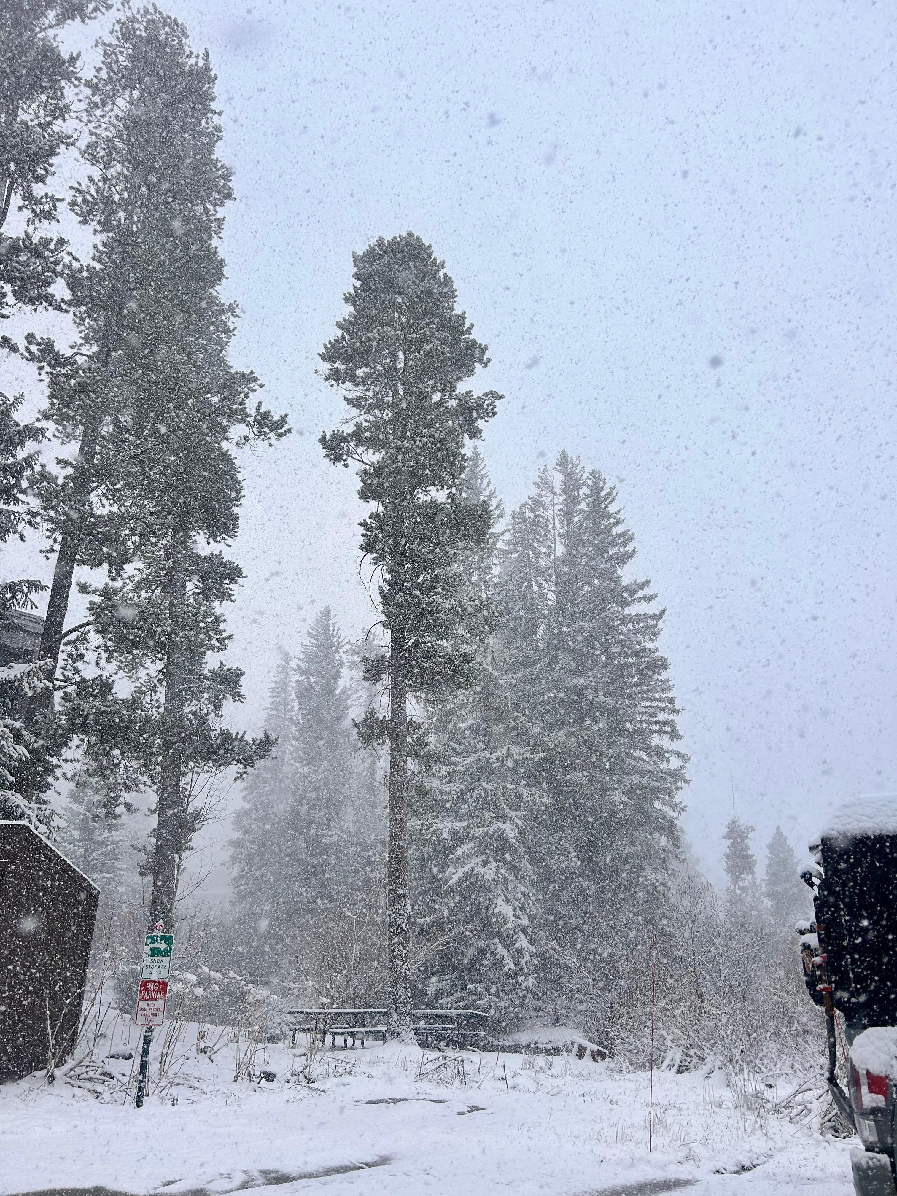 The snowy view from the front! 