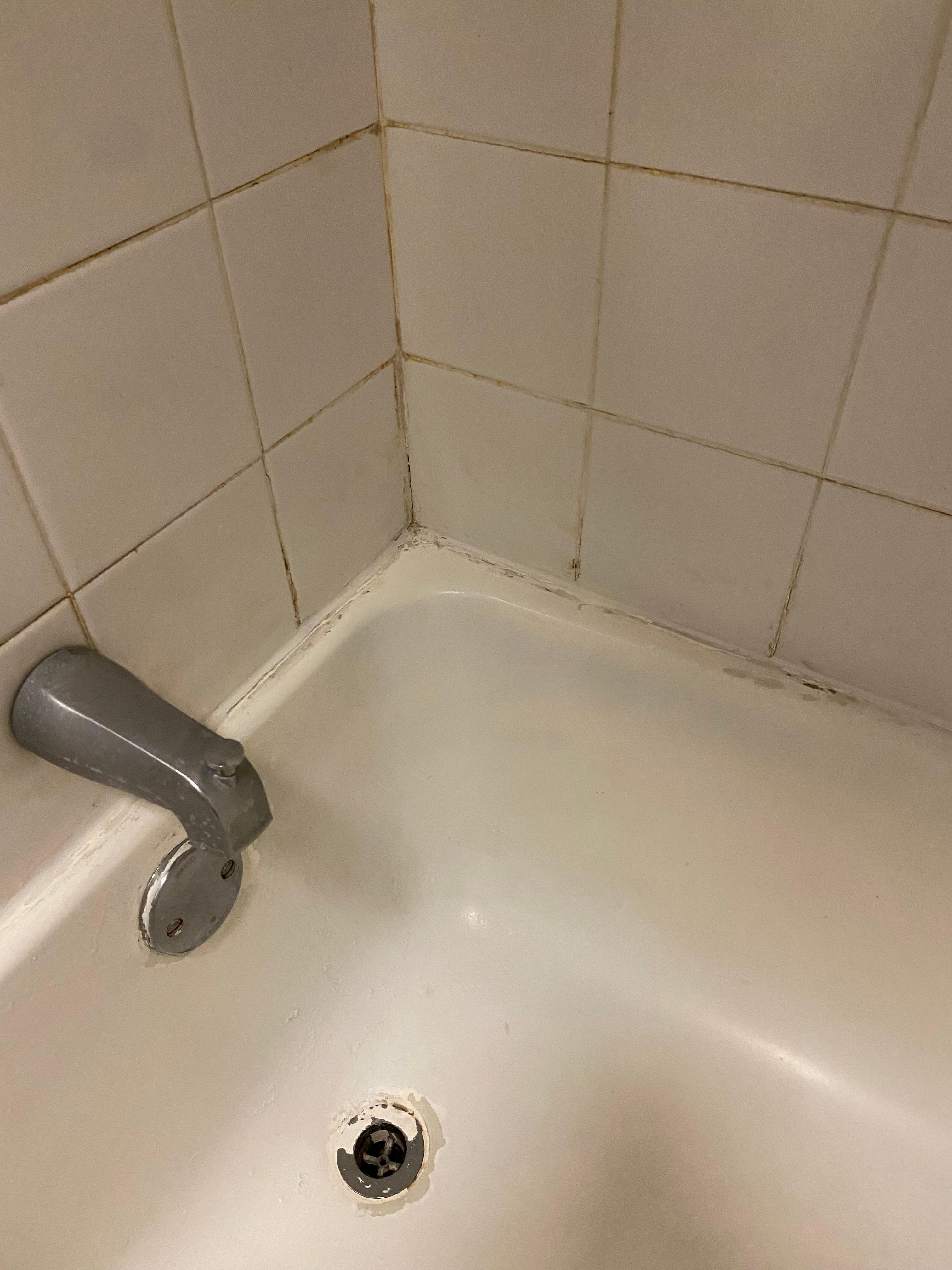 Dirty grout, corners, and mold throughout. 