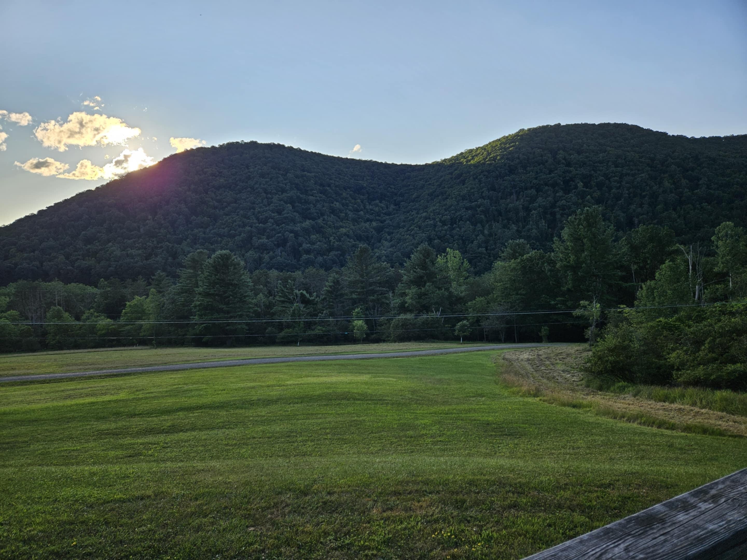Looking from side yard