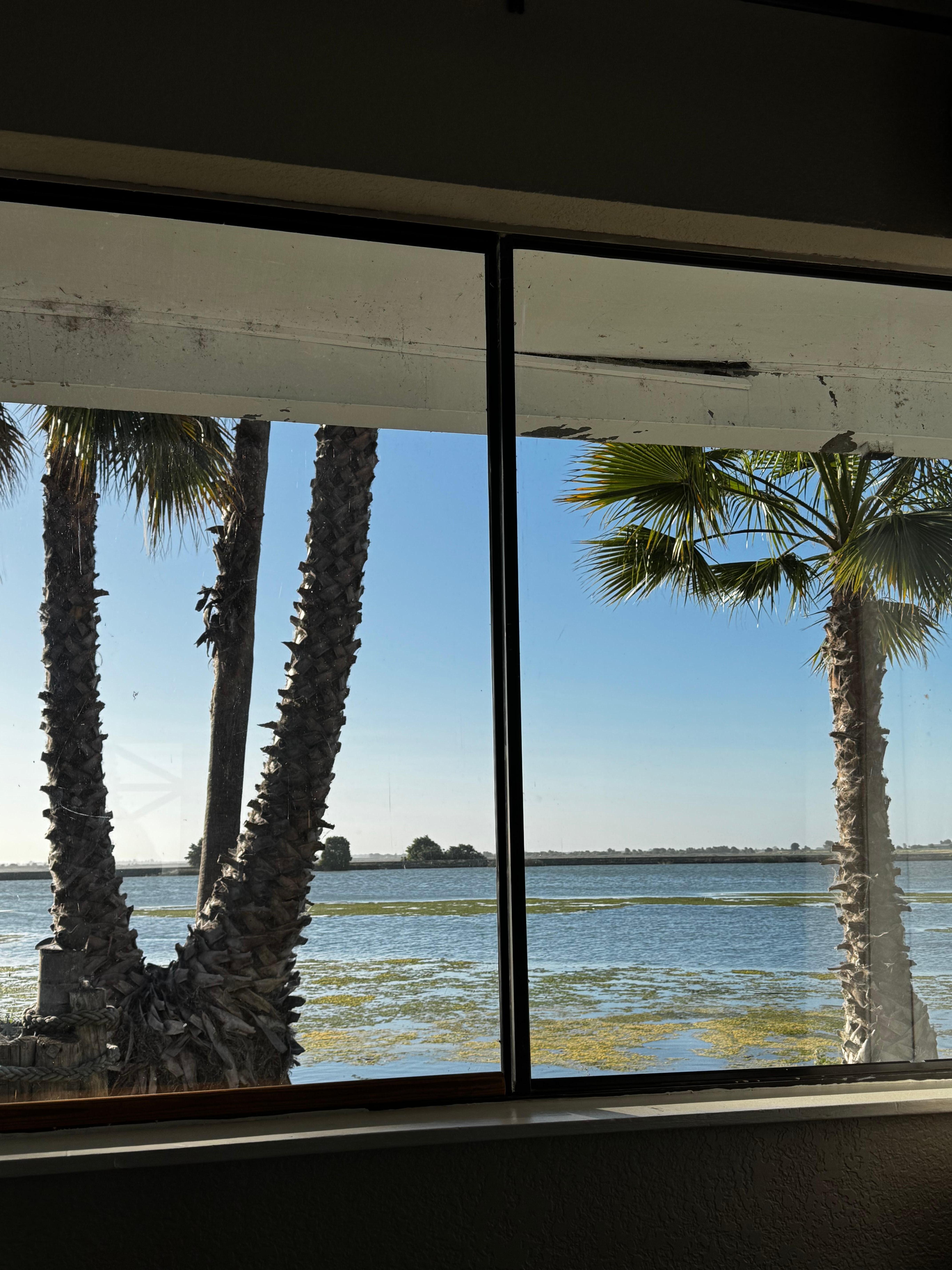 Window view