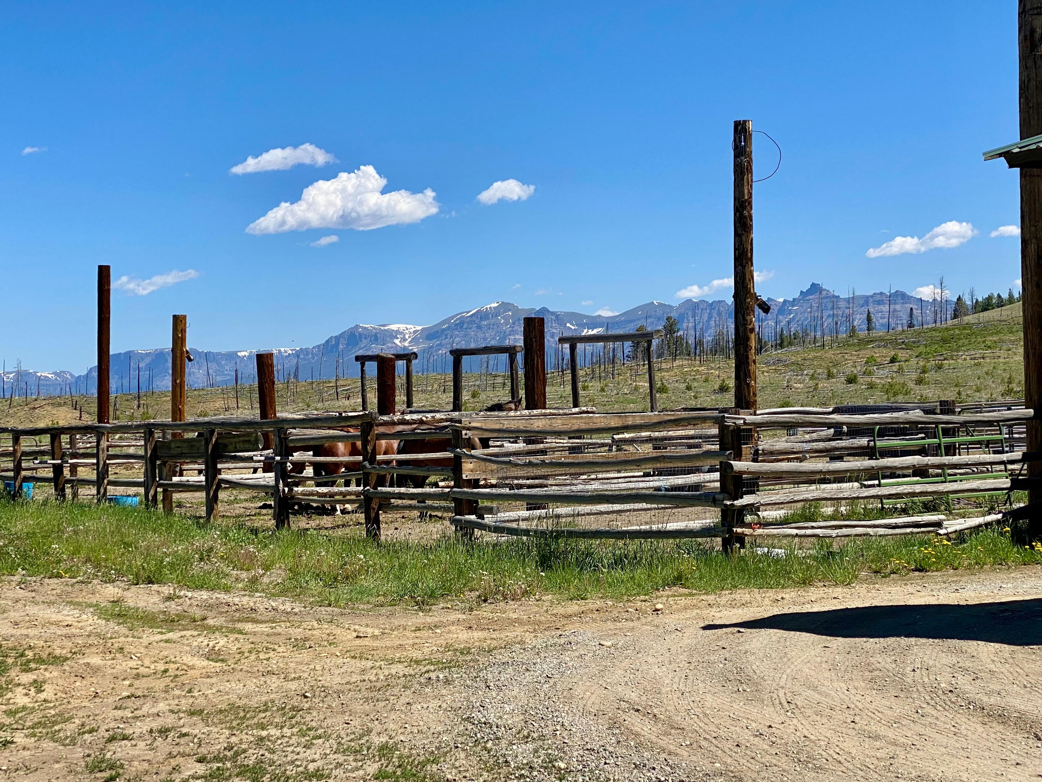 Added attraction. Trail rides of differing lengths and cost were available. 