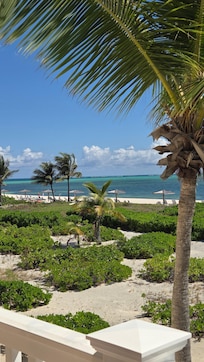 Palapas are free to use