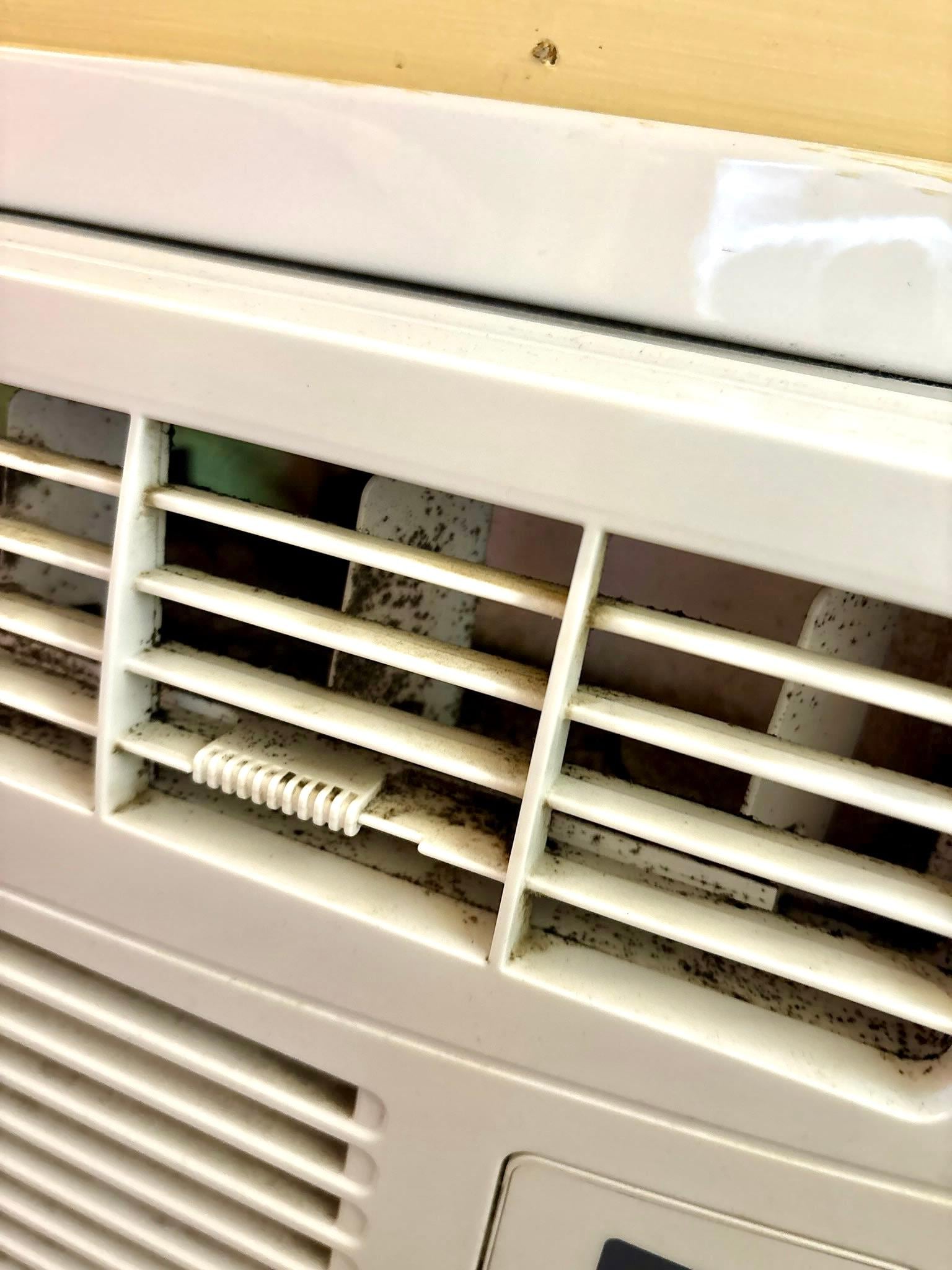 Black mold inside heat/cool unit. 