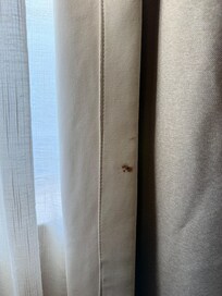 Blood stains on curtain