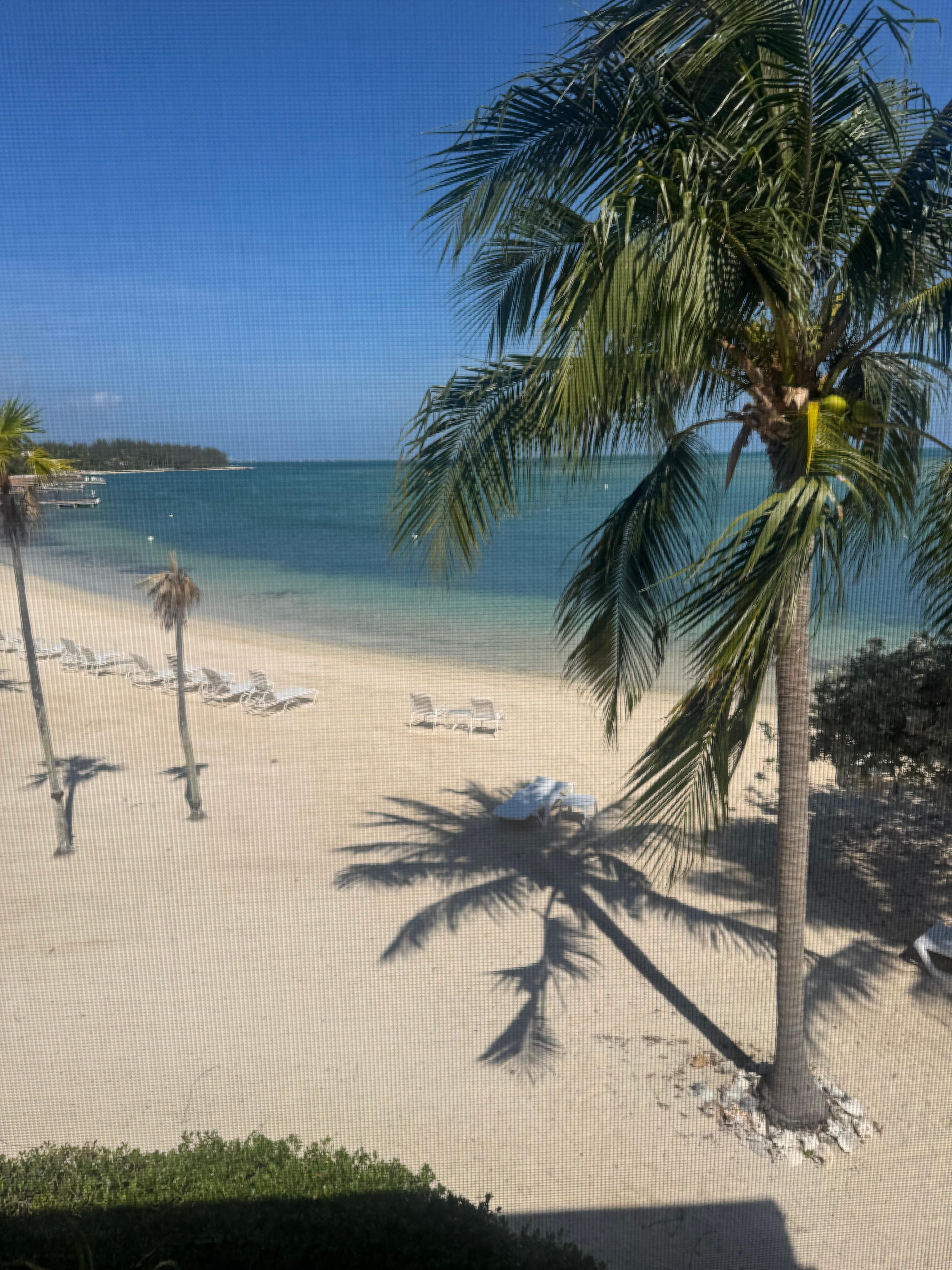 From the upstairs screened in balcony