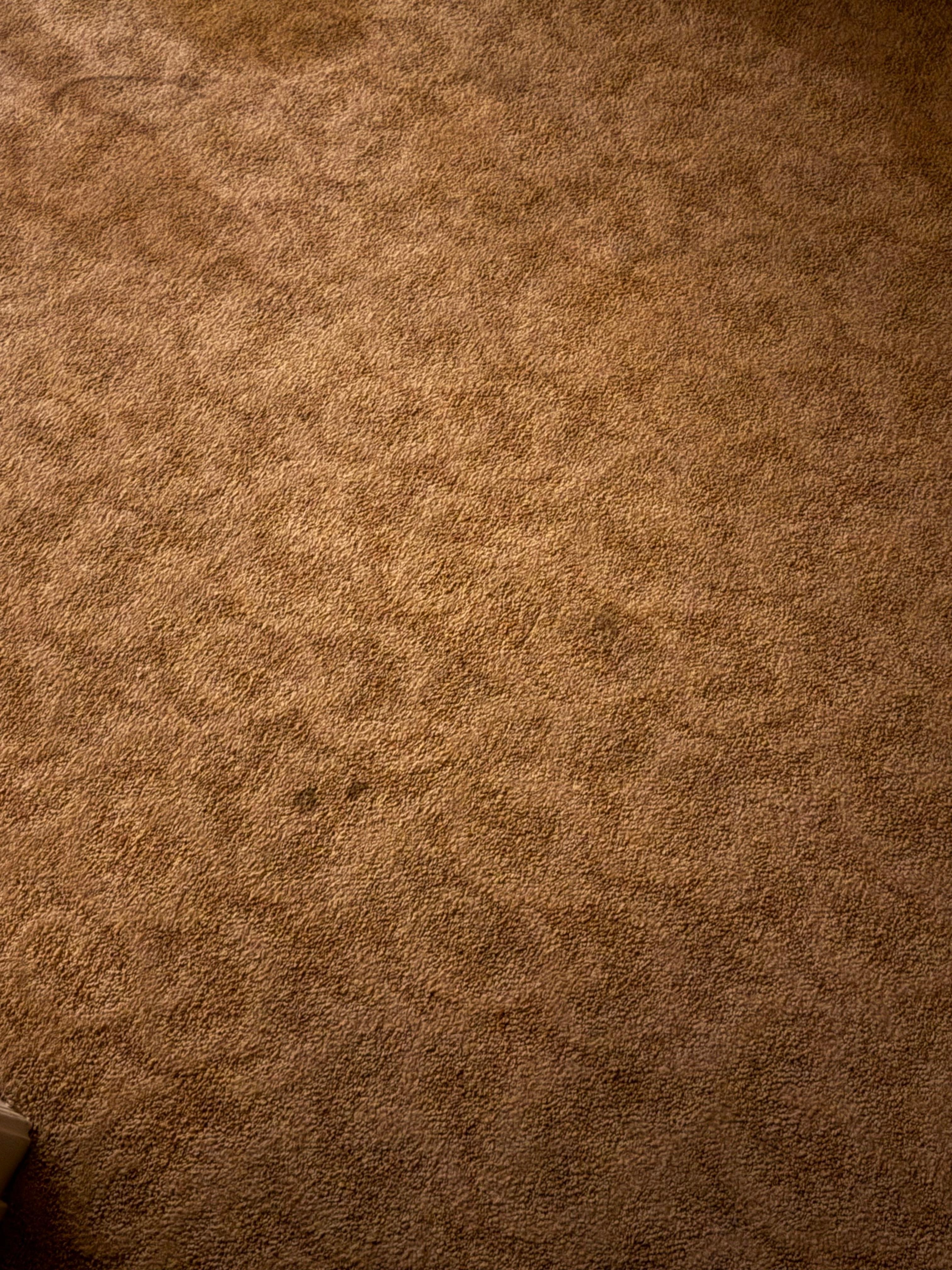 Numerous stains on all carpets