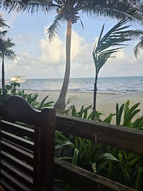 View from Paradise Restaurant