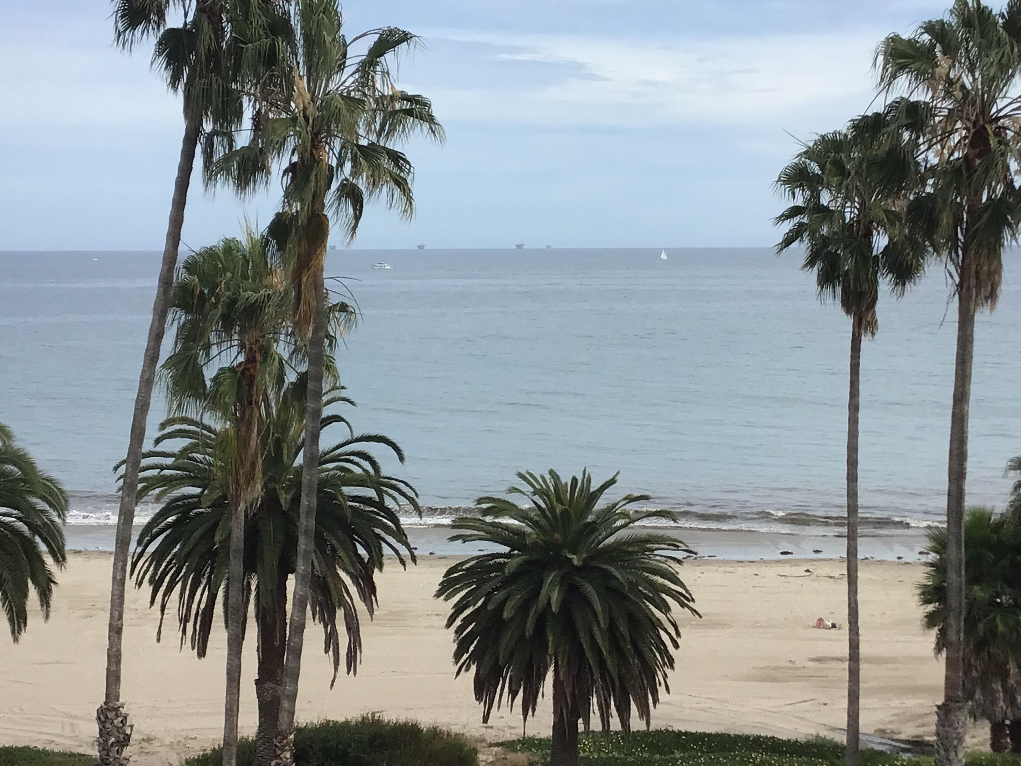 Beautiful view from the living room and master bedroom.