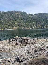 Watching eagles and seal play in front of us