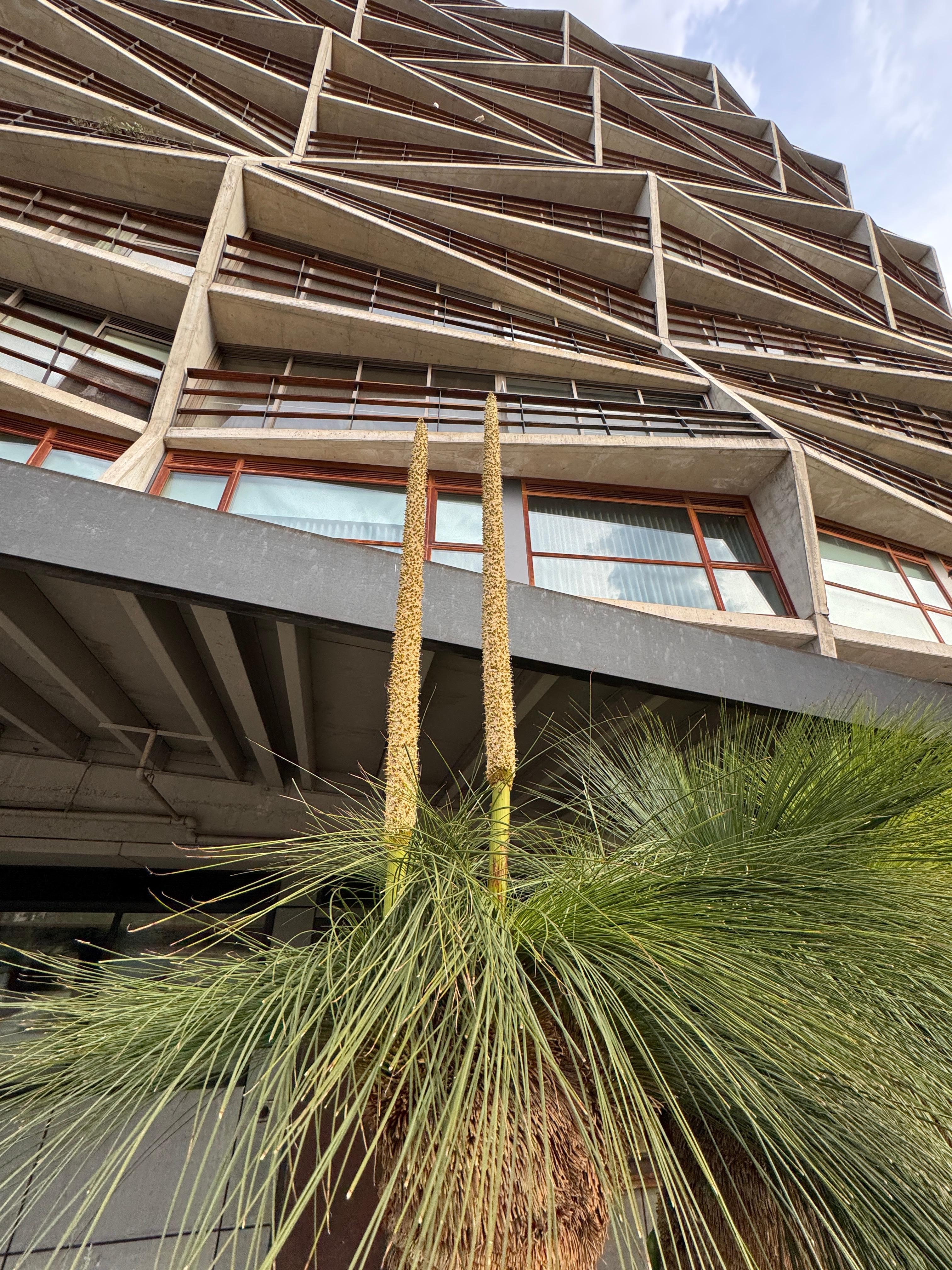 Amazing architecture 