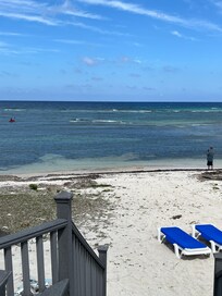 We cleaned up the seagrass with a rake they had