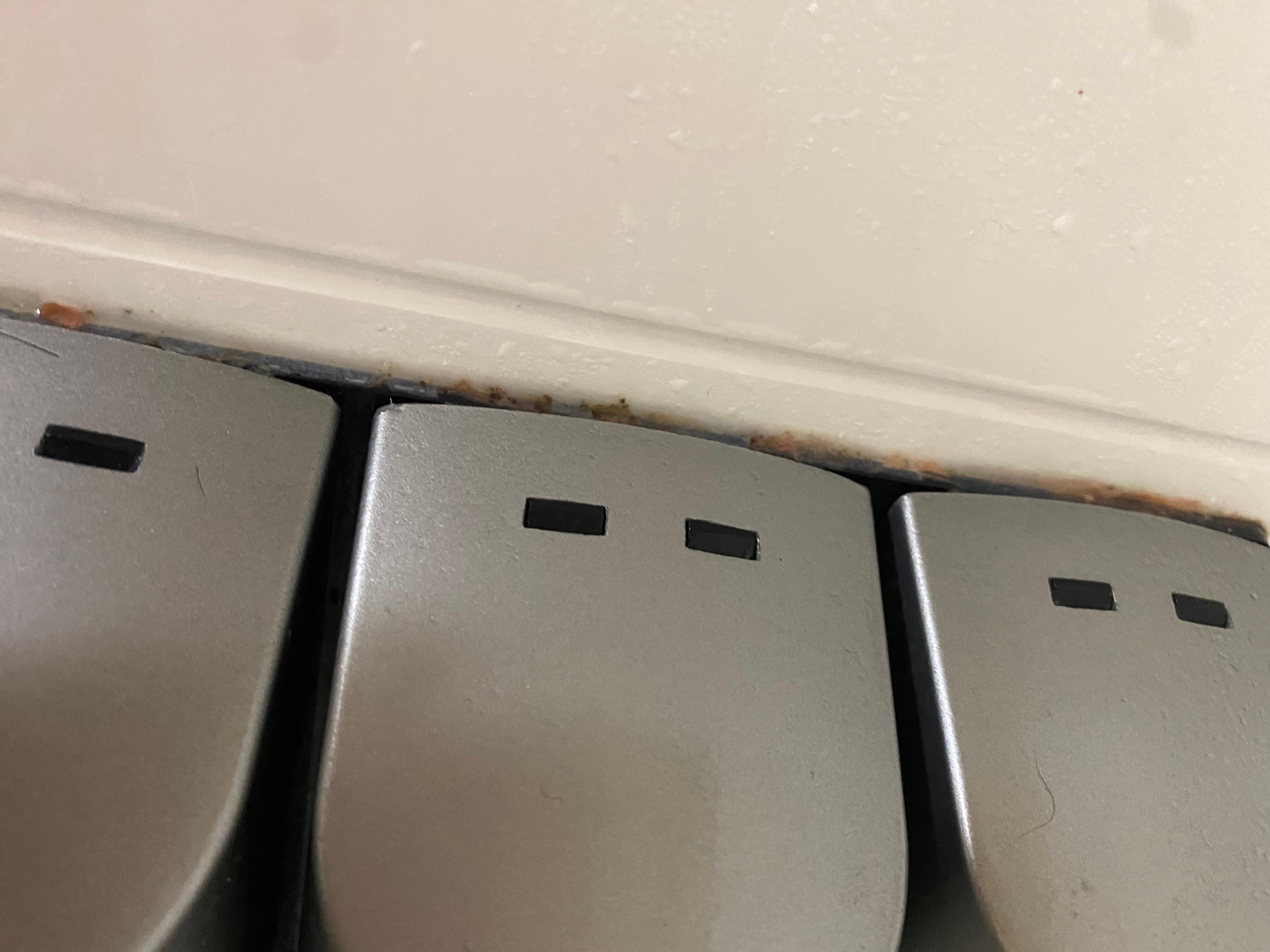 Mold or mildew by soap dispensers in shower 