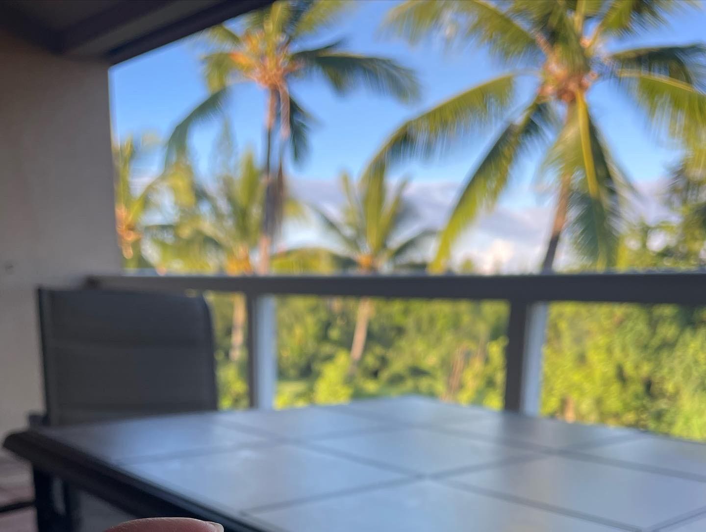 Lanai view