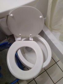 Broken toilet seat