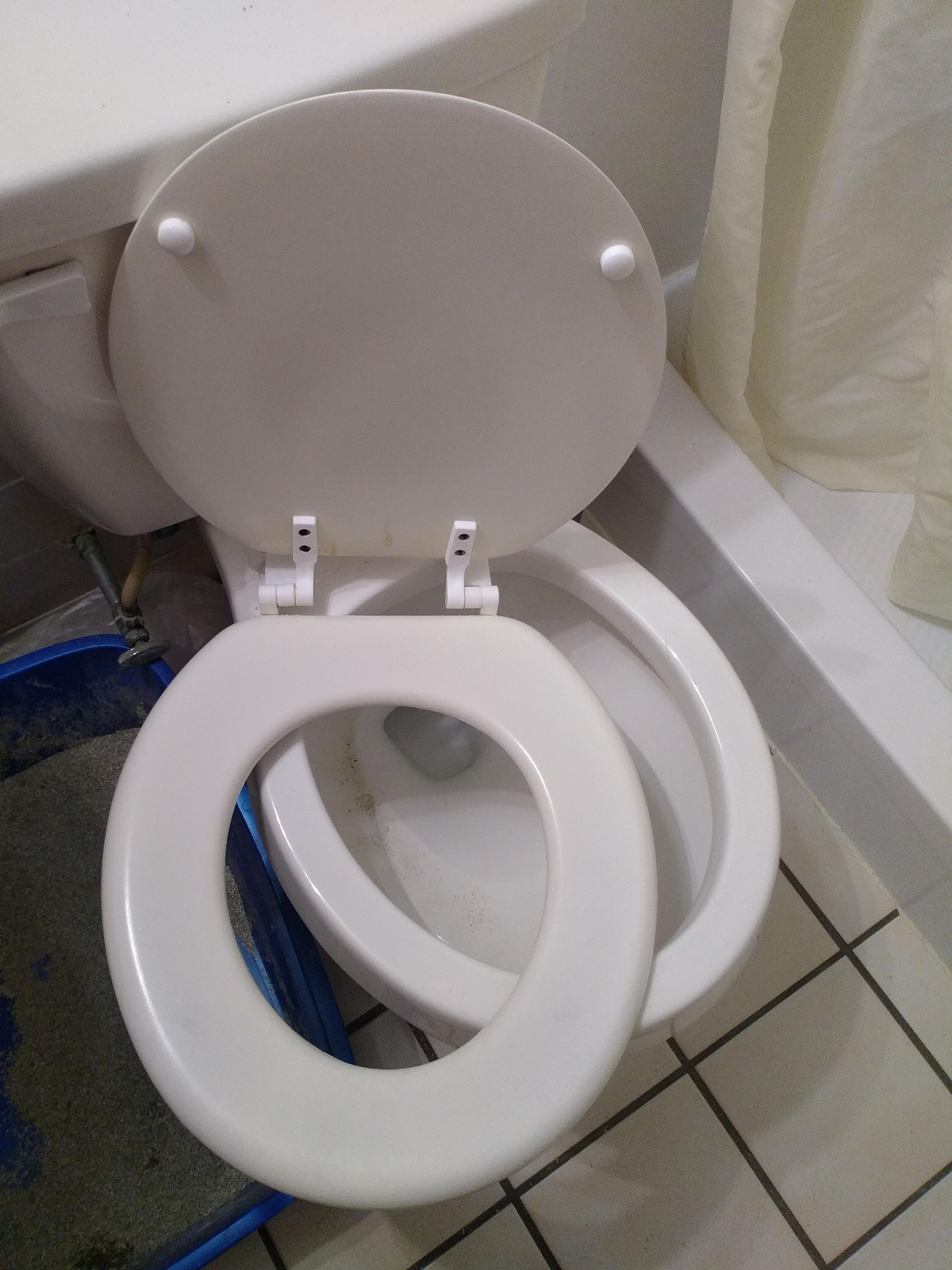 Broken toilet seat 