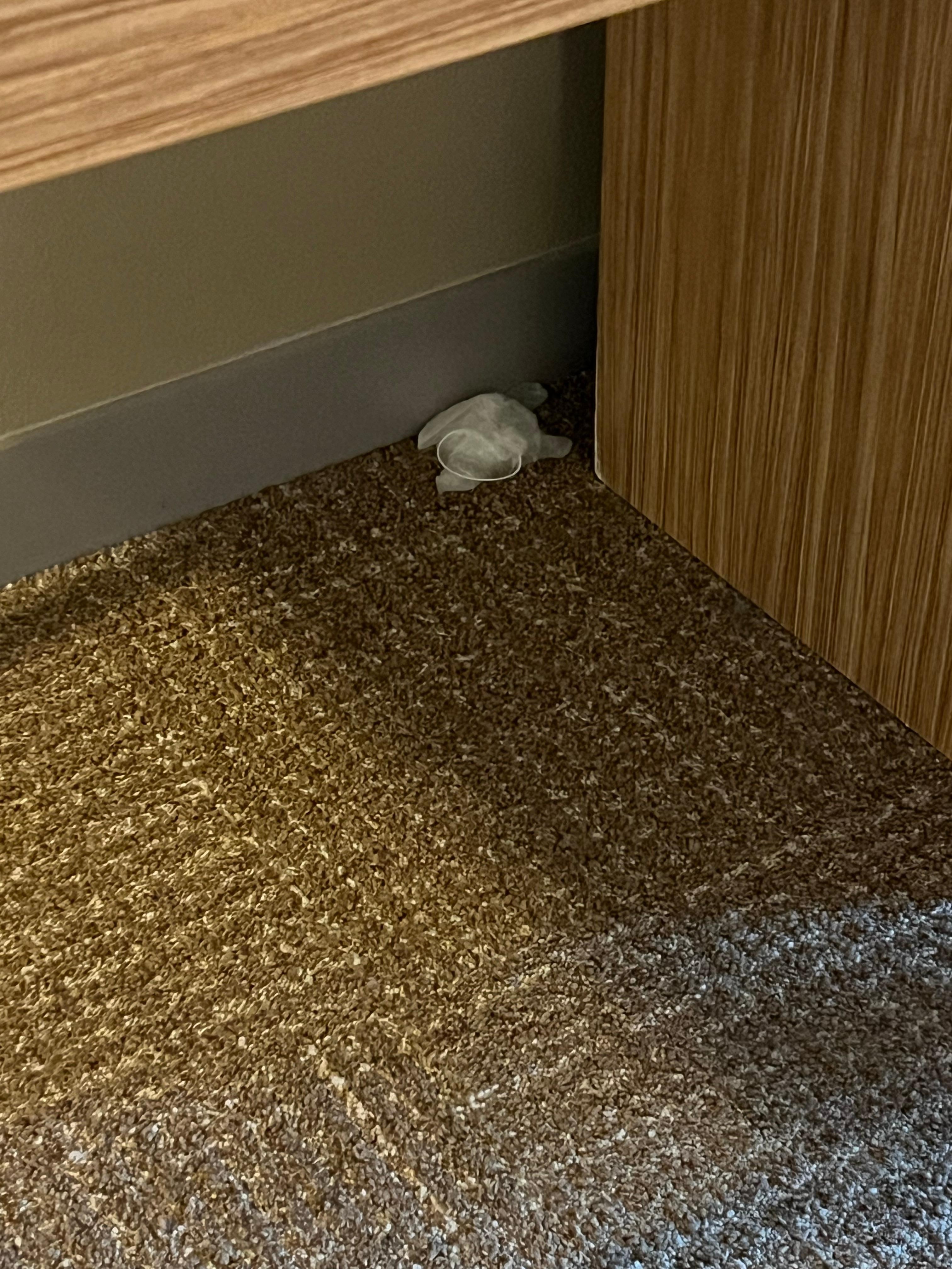 Housekeeper’s (I hope) glove was left for a souvenir I guess.