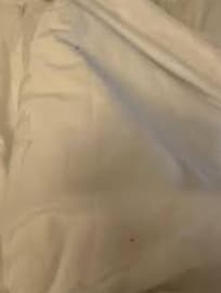 Bed at night with blood stains