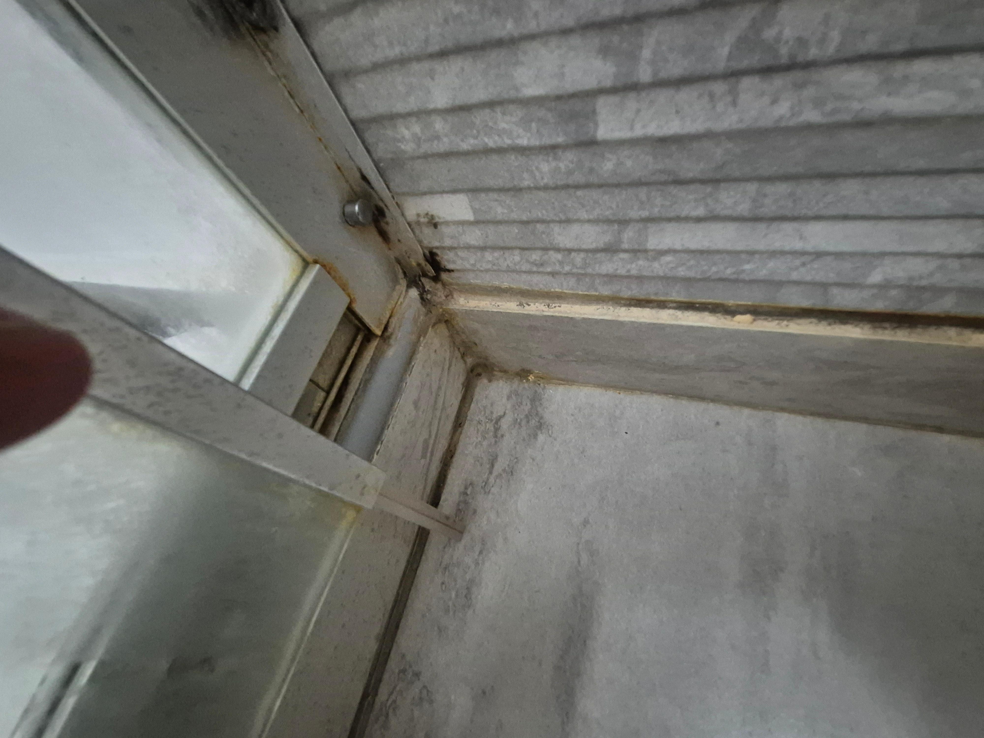 Mold in shower bottom