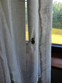 Burns holes in curtains, the entire place was incredibly dirty also. Dust everywhere. On every surface.