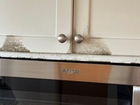 Mold in the Kitchen.