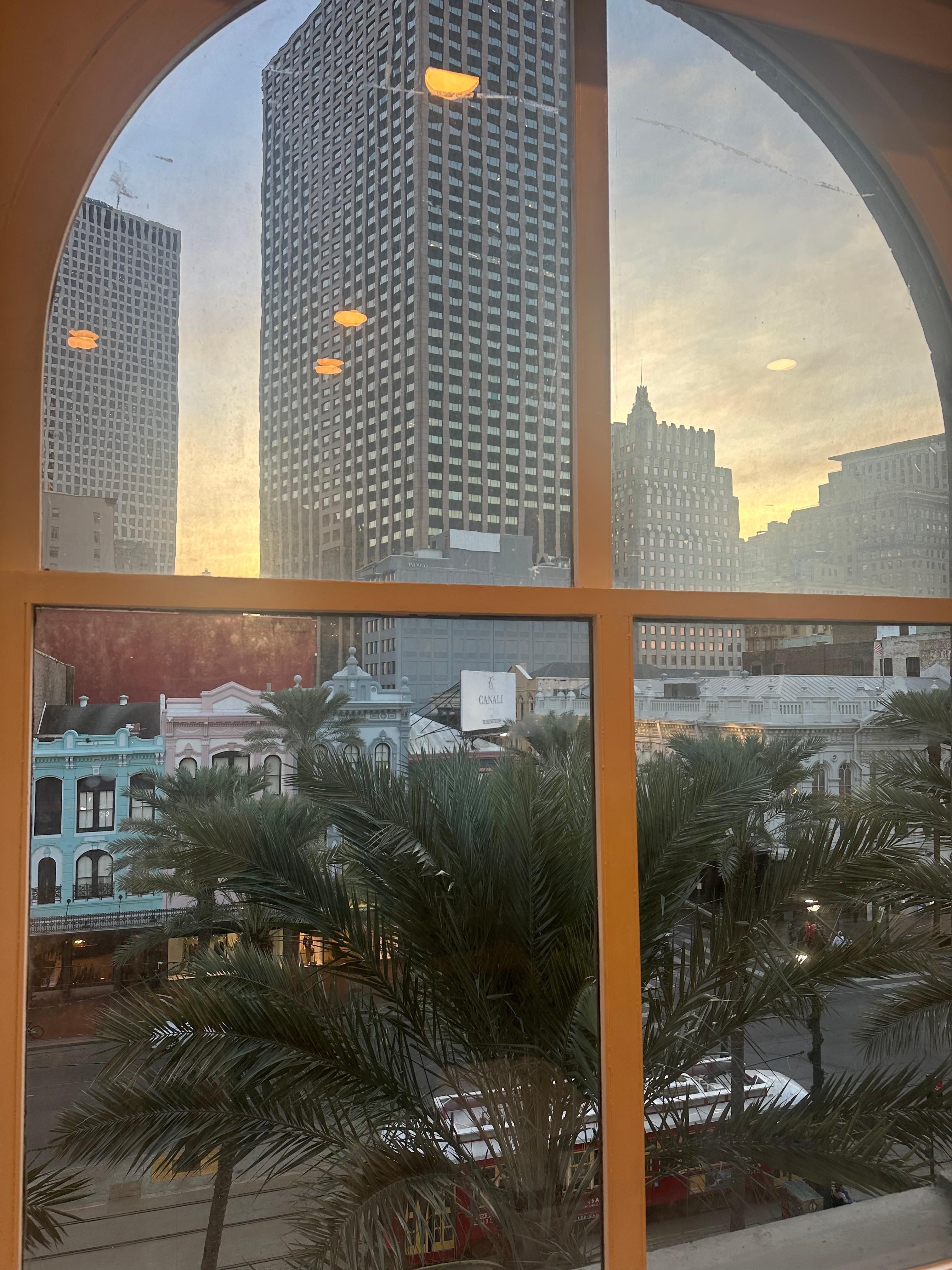 View from the living room window.