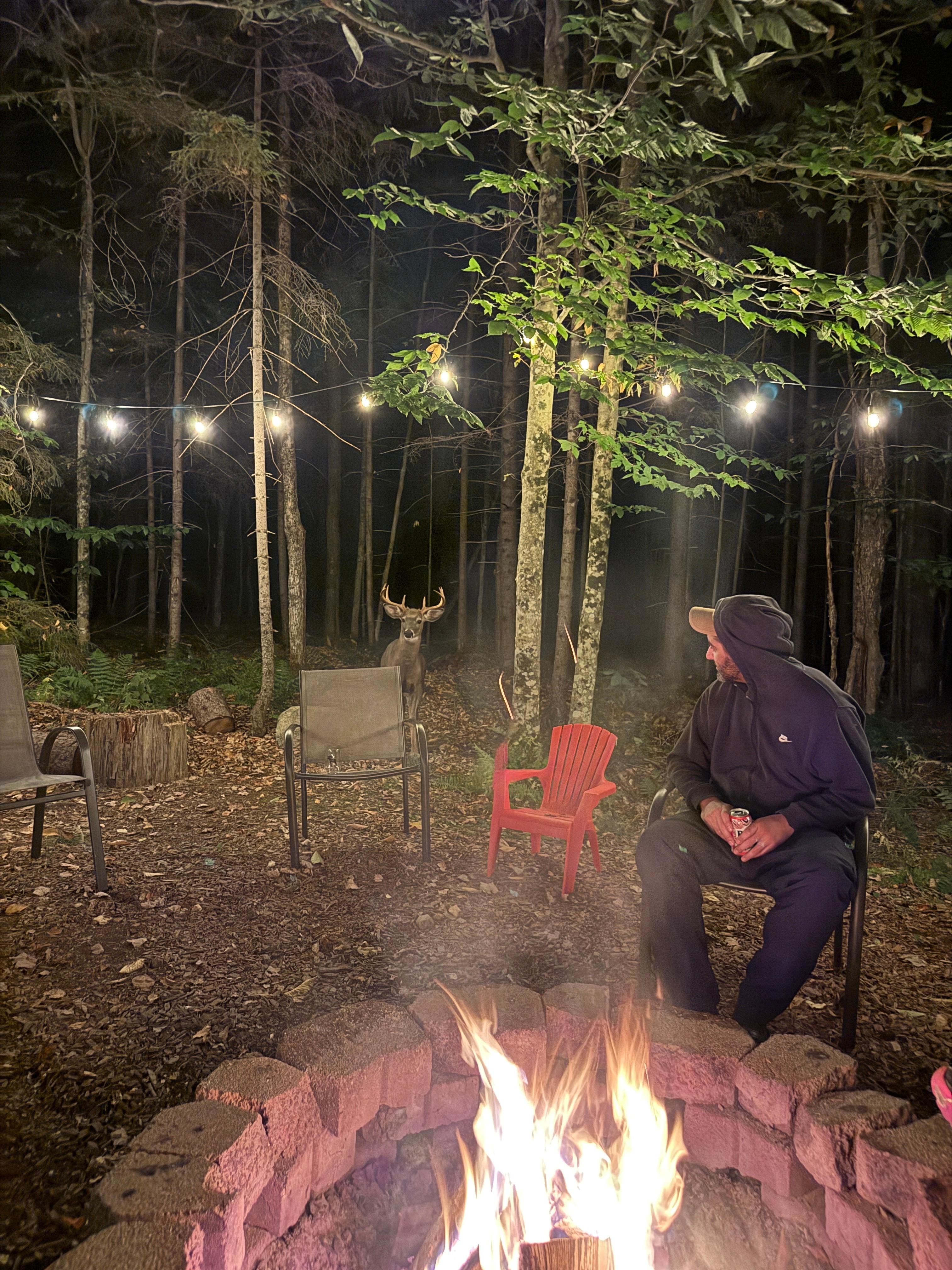 A deer passed through while we were relaxing by the fire. 