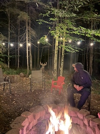 A deer passed through while we were relaxing by the fire.