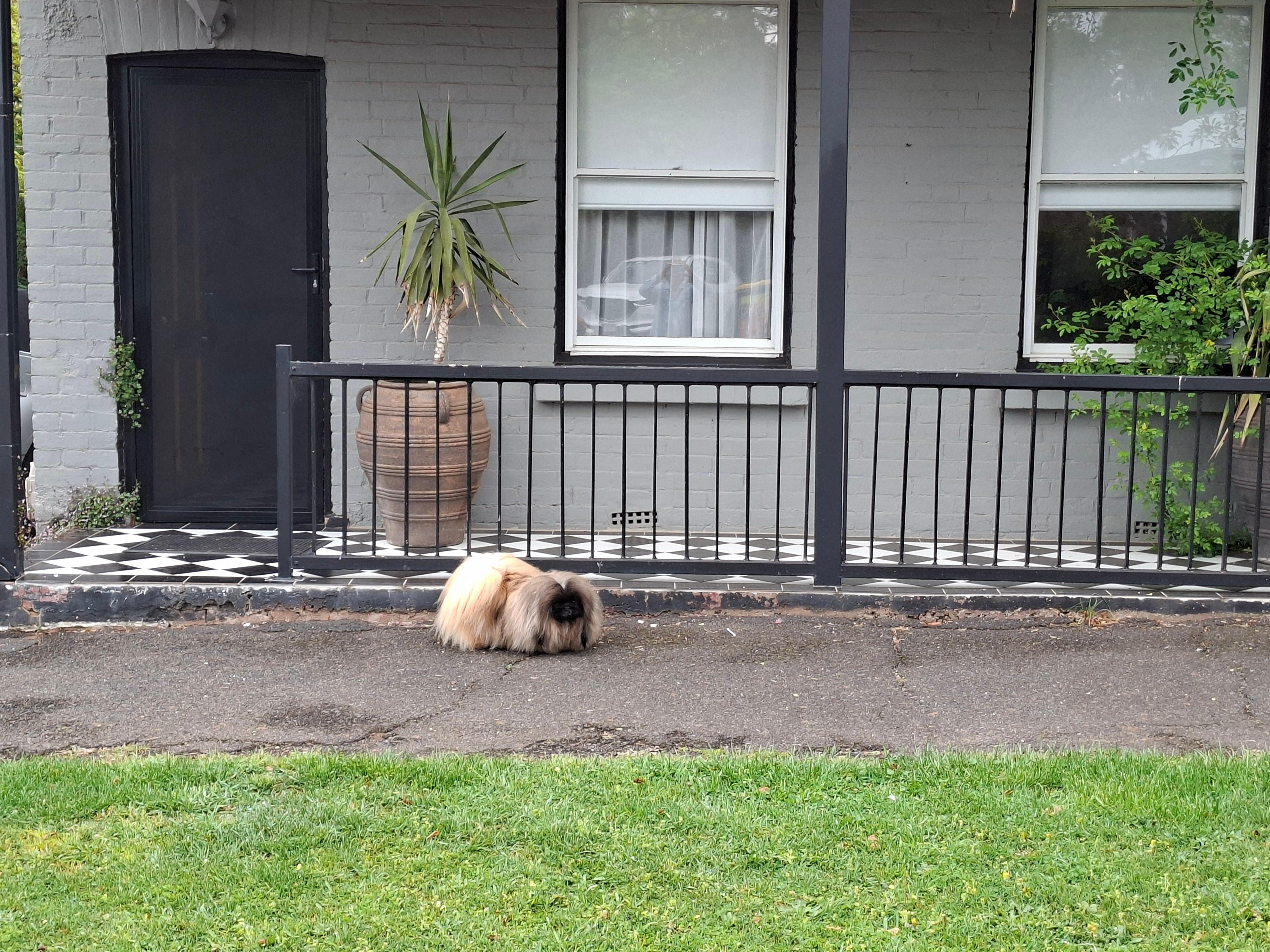 Out the front of cottage a quiet street.A beautiful.street.