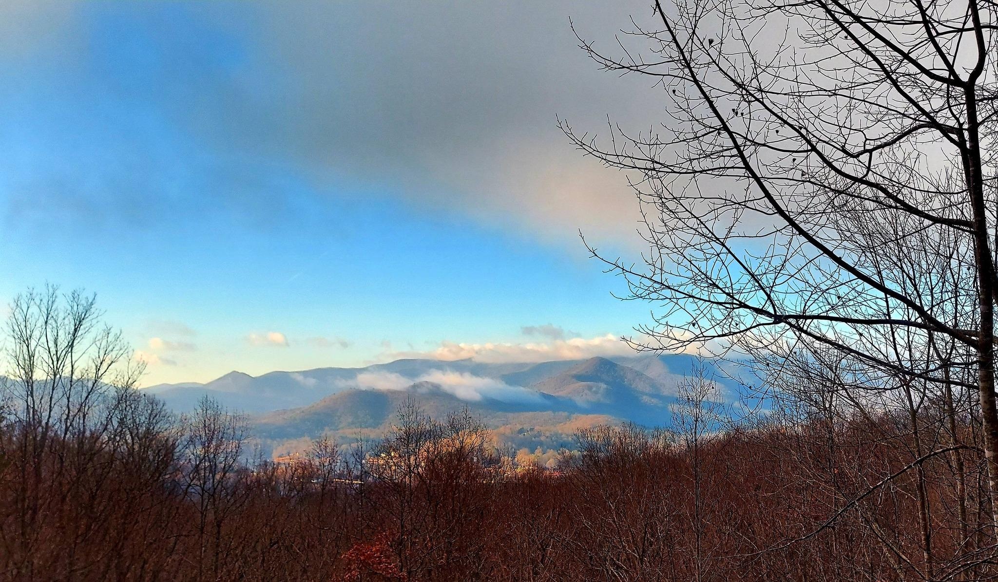 Morning view from our porch.