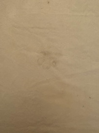 Black stain and dog foot prints