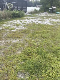 This is supposed to be a sand beach. Not so much!