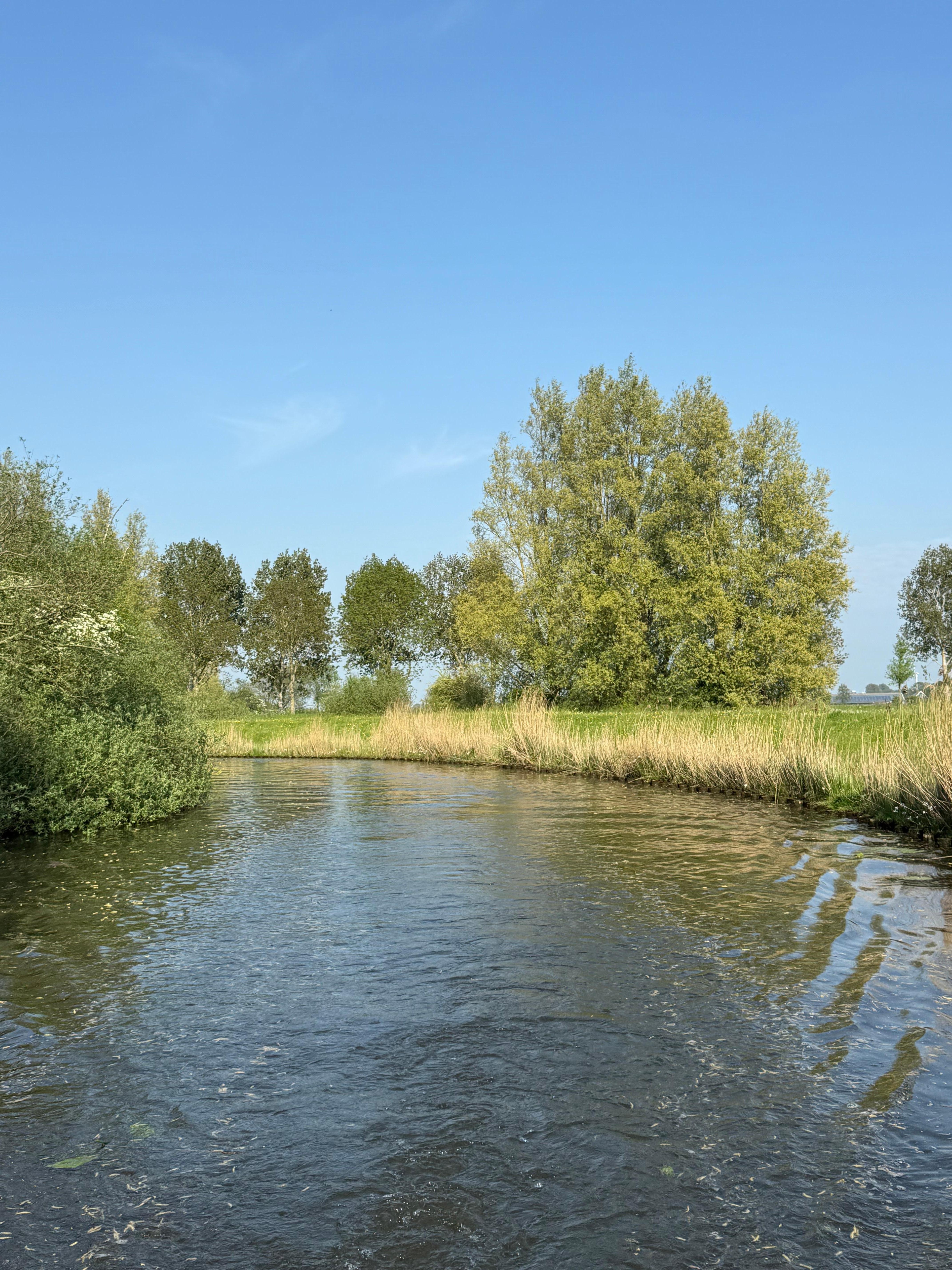In der Nähe 