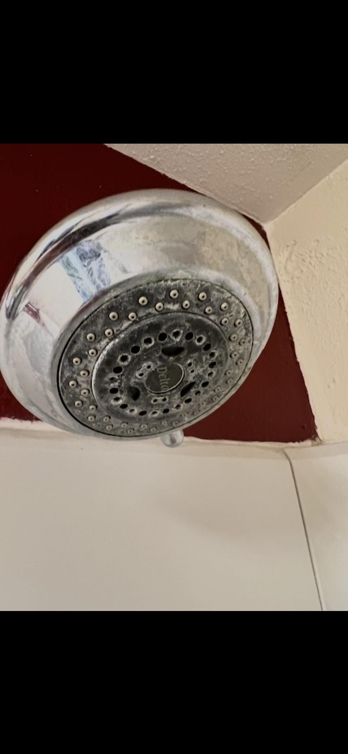 Shower head never  cleanrd