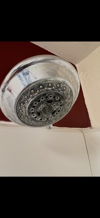 Shower head never cleanrd