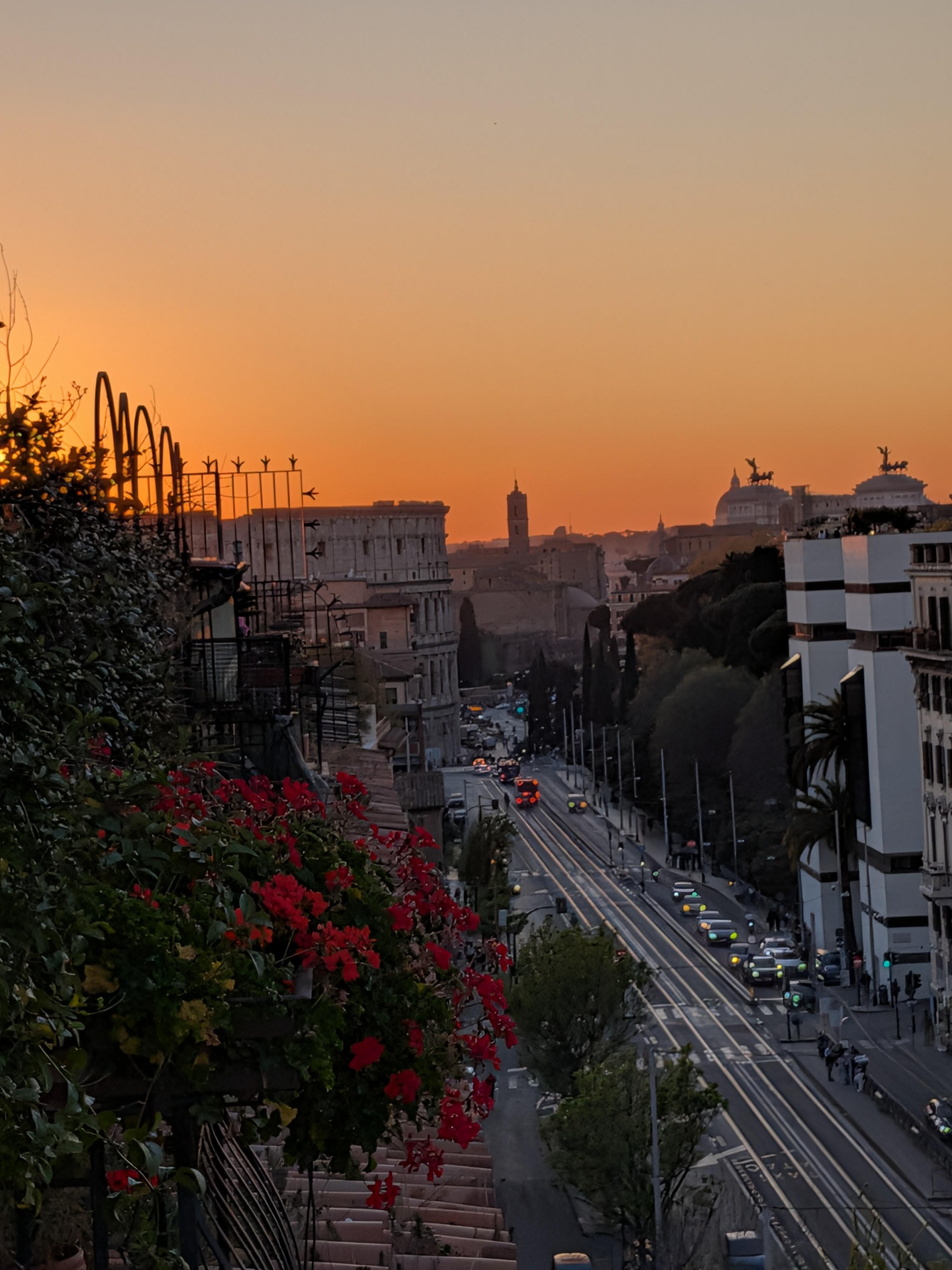 View from the rooftop