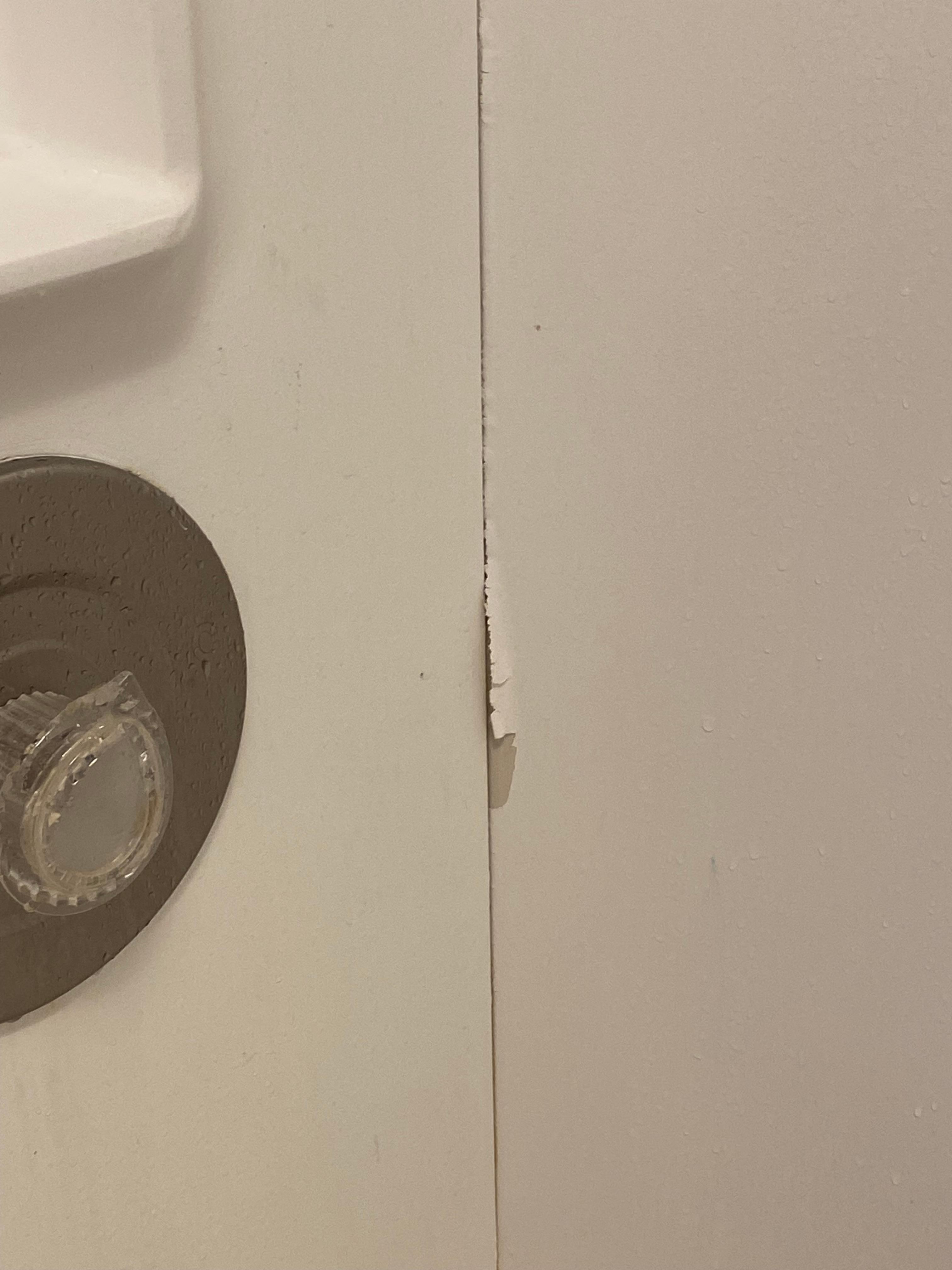 Bathroom shower wall