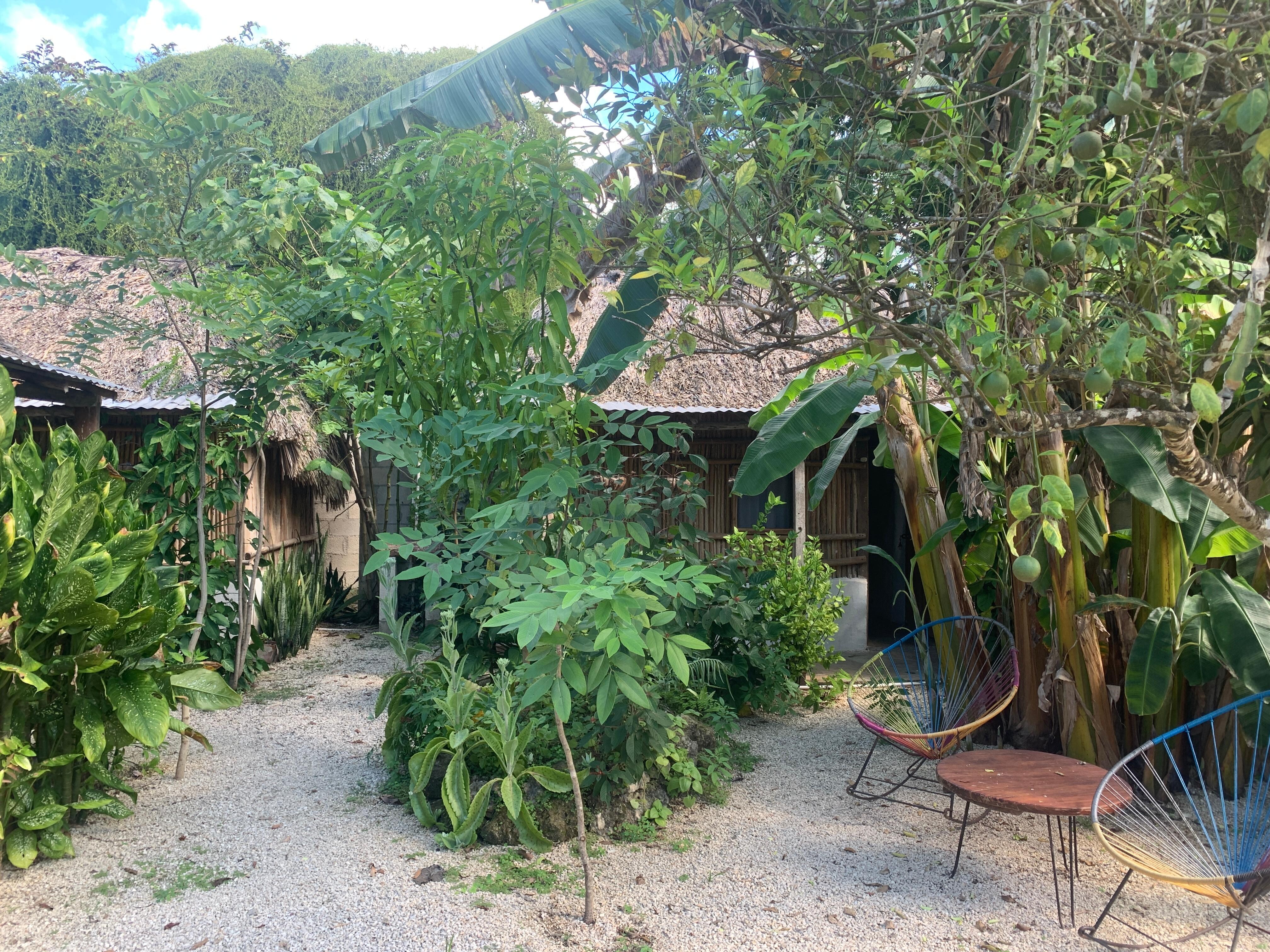 Four separate cabañas on a single residential property close to restaurants and stores and the ADO intercity bus station. 