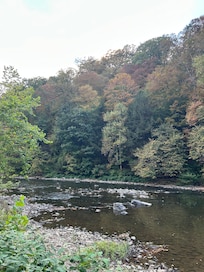 View of creek
