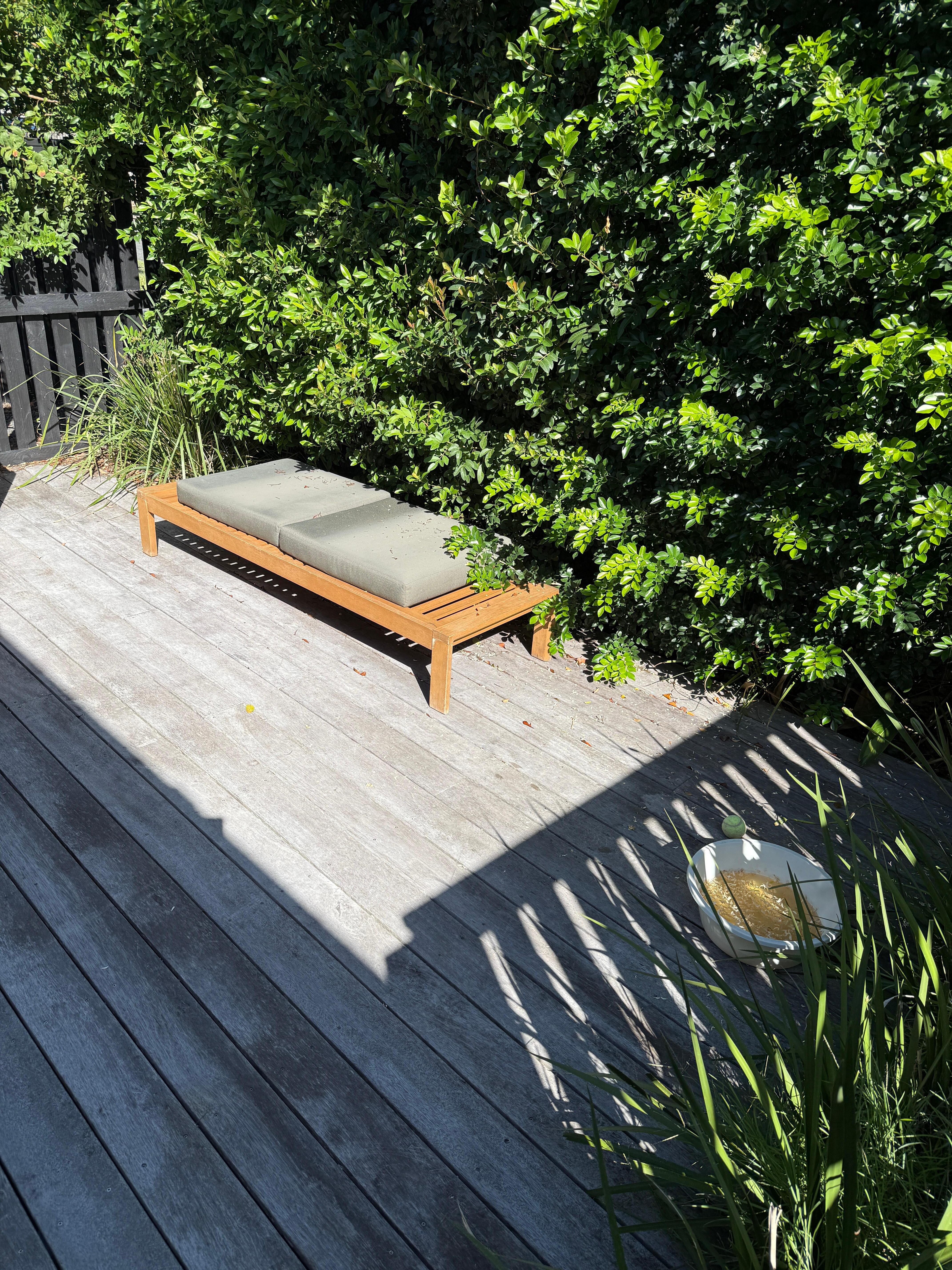 Overgrown courtyard and random bowl of dirty water. 